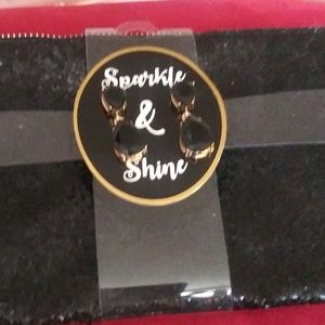 Sparkly clutch purse earring sets